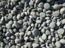 Beach pebbles grijs keien zijn gespikkeld grijze keien maat 30-60