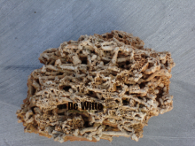 Spaghetti rotsen 15/40 cm worden geleverd in minigaas.